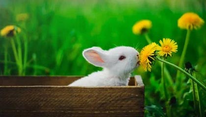 青训机构建立家校合作机制强化学生自律管理，建立健全家校合作机制