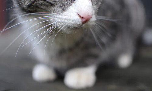 “中超联赛激烈竞争，排名不断变动”，中超联赛最新排名