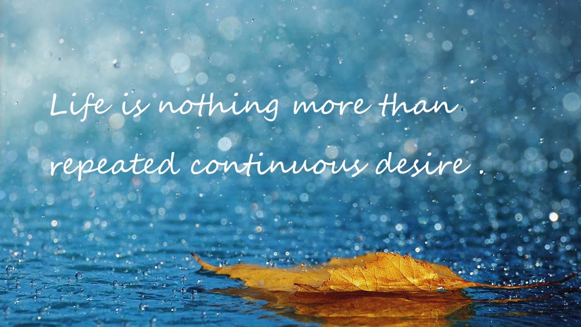 【坎坷之路】马克·塞尔比从逆境到巅峰的心路历程,马克塞尔比历史地位