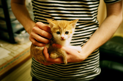 日本队小组出线成功,展望更高目标,日本队出线形势