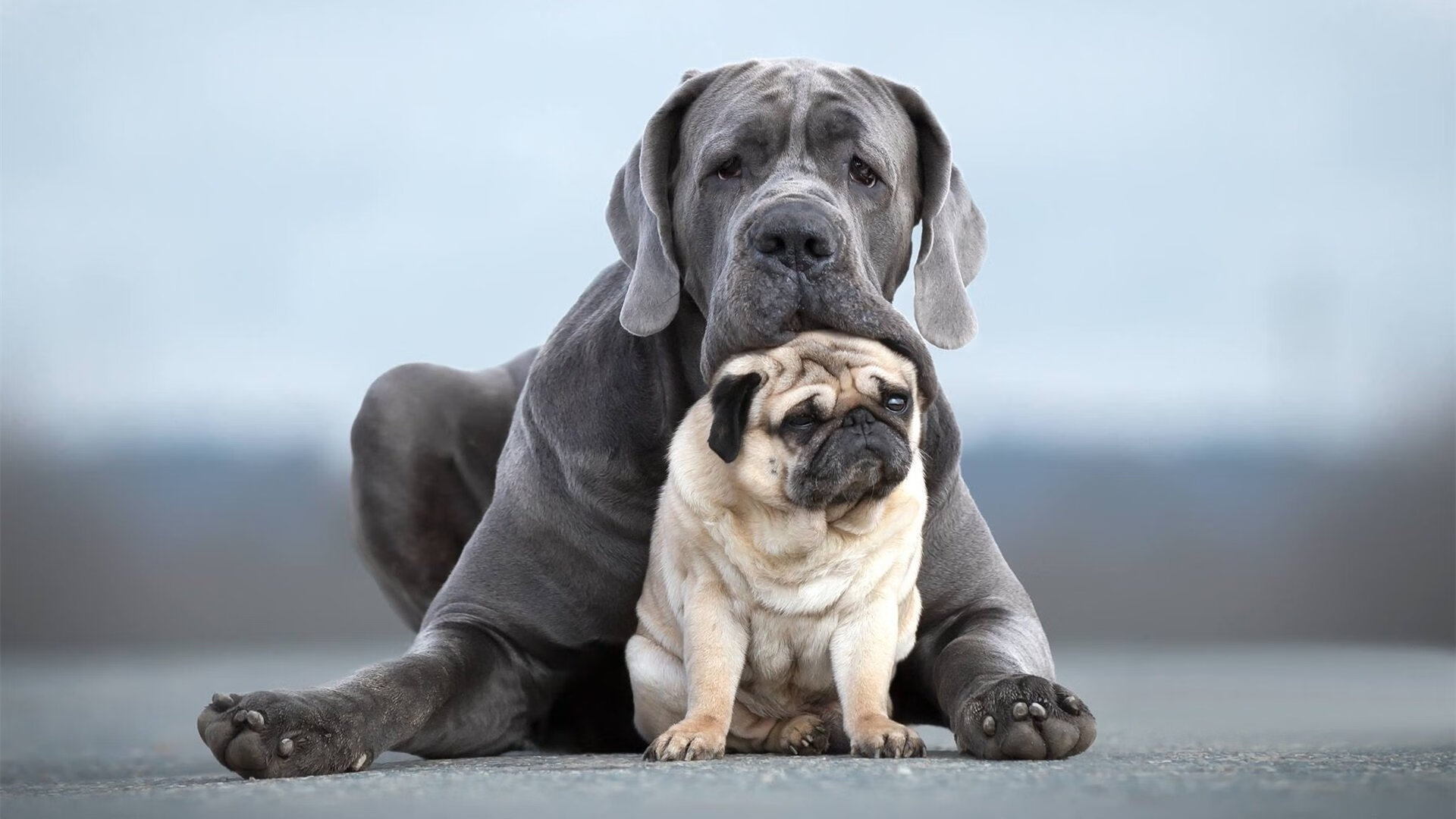 特色足球文化节在多个城市落幕,弘扬民族体育精神,足球文化节内容怎么写