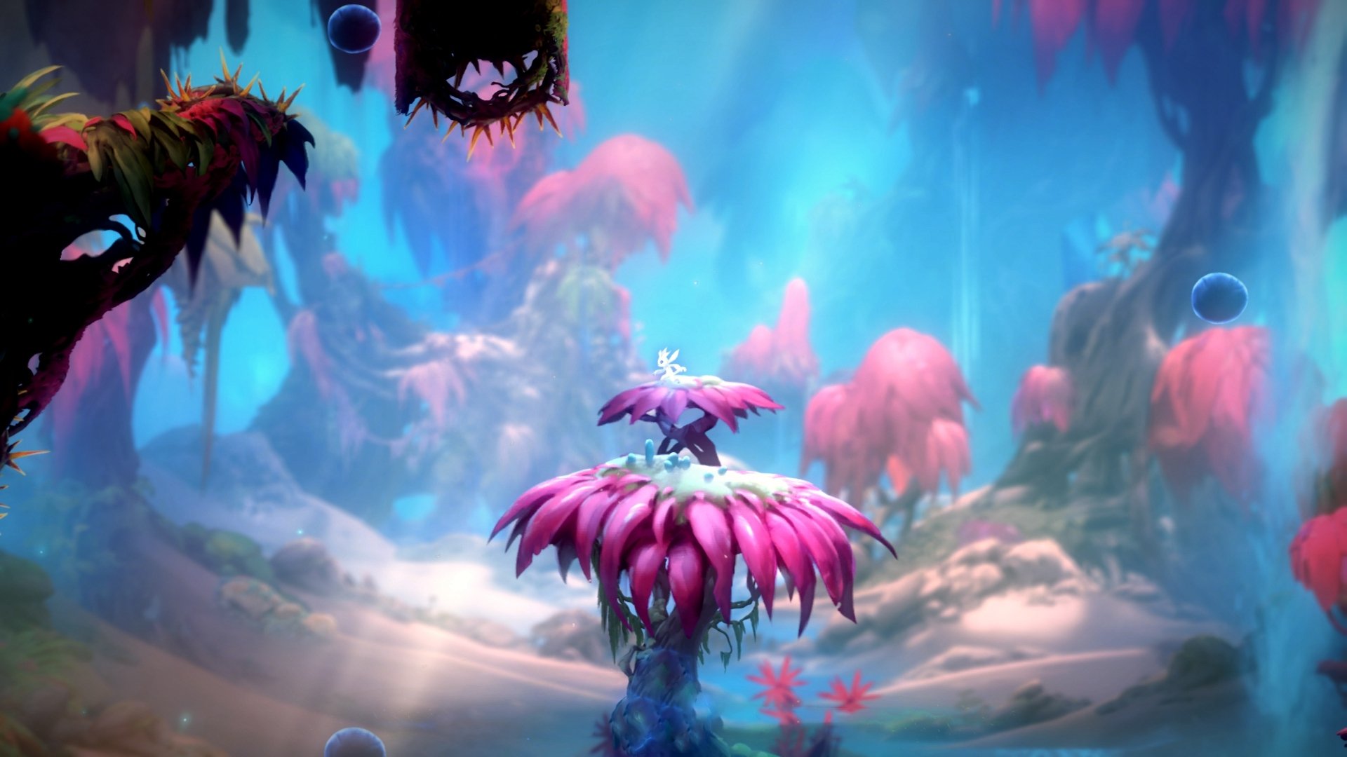 篮球公益训练营积极推广全民健身理念，篮球公益营销策划方案