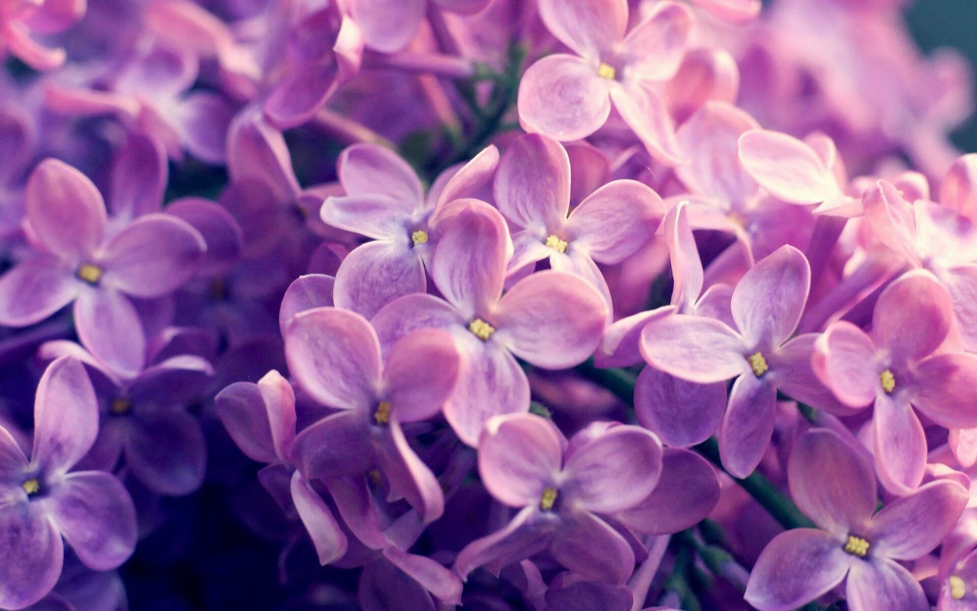 科比:从青涩少年到“神级巨星”的非凡蜕变!,科比成熟