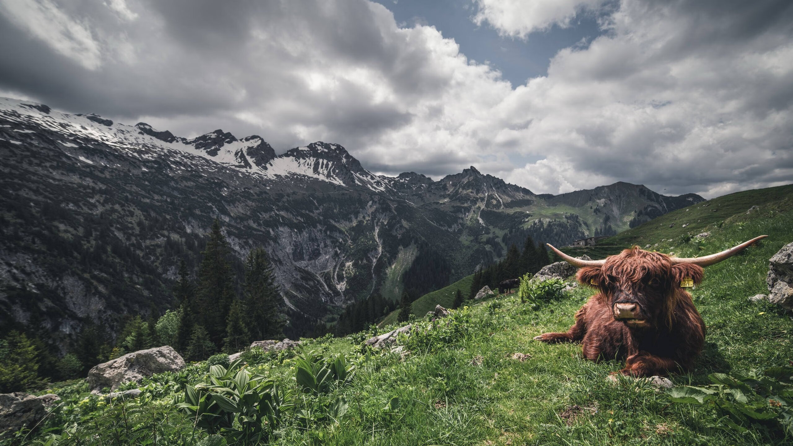 篮下争夺:北京抢到50个篮板,攻守都占优!,北京篮球队比赛
