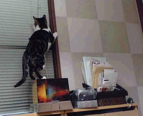 逆境中的战术调整：哪些球队实现了逆转？，nba逆转次数最多的球星