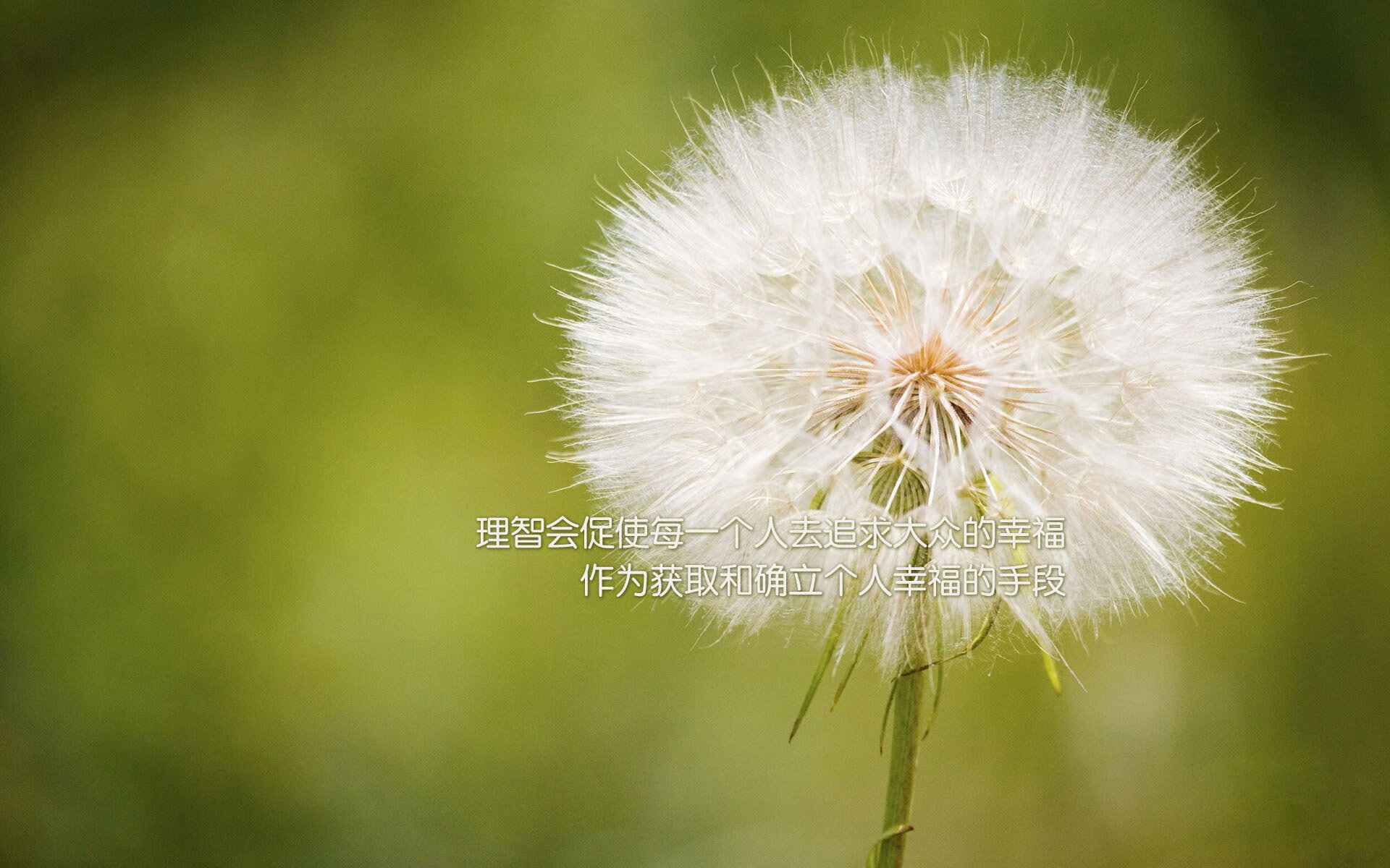 RNG年轻选手晋升主力阵容,rng选手名单