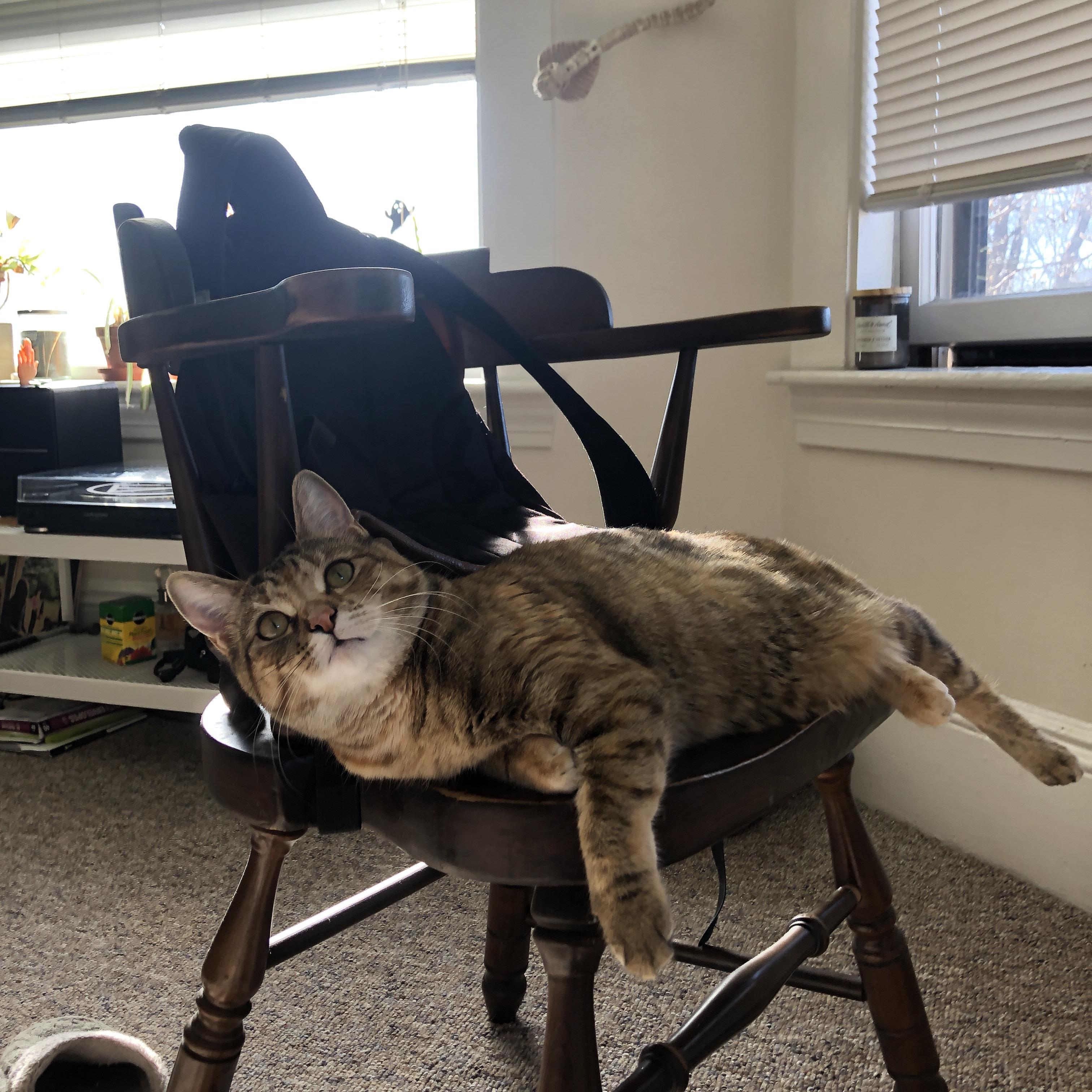 哥伦比亚逆转突尼斯，巴卡表现出色，哥伦比亚巴丘