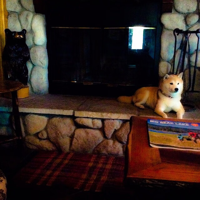 巴萨是否该重新审视控球战术的效率，巴萨回应