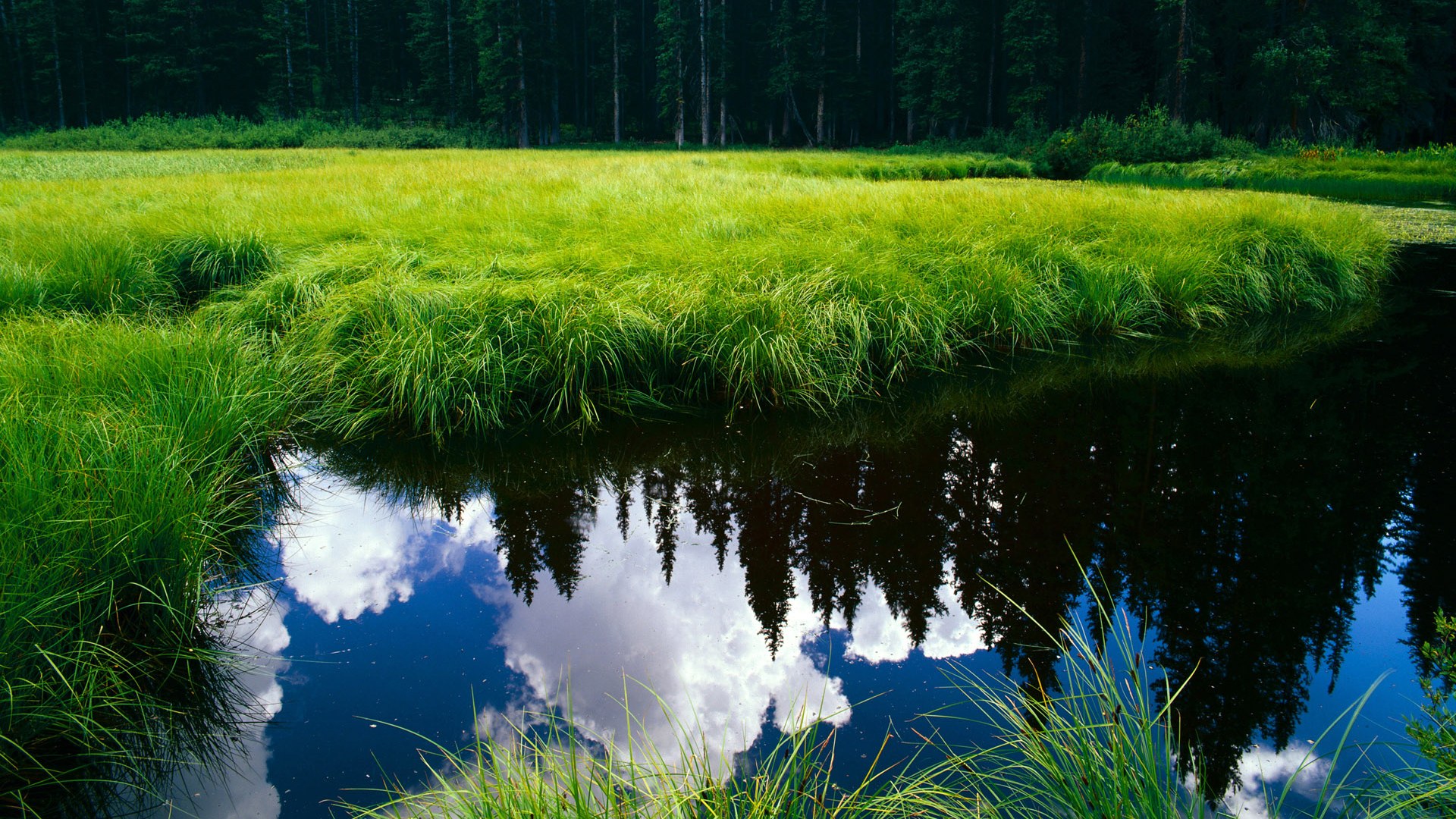 水晶宫主场一球小胜，结束连败状态，水晶宫主场叫什么