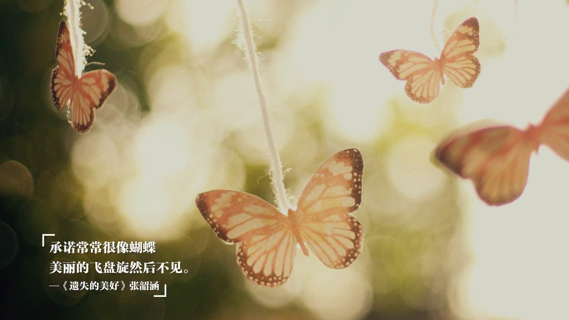 热刺中场调度灵活，白百合冲击欧战区，热刺为啥叫白百何