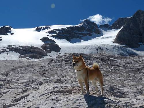 瓜达拉哈拉与阿尔阿赫利体育俱乐部达成合作协议，瓜达拉哈拉集团