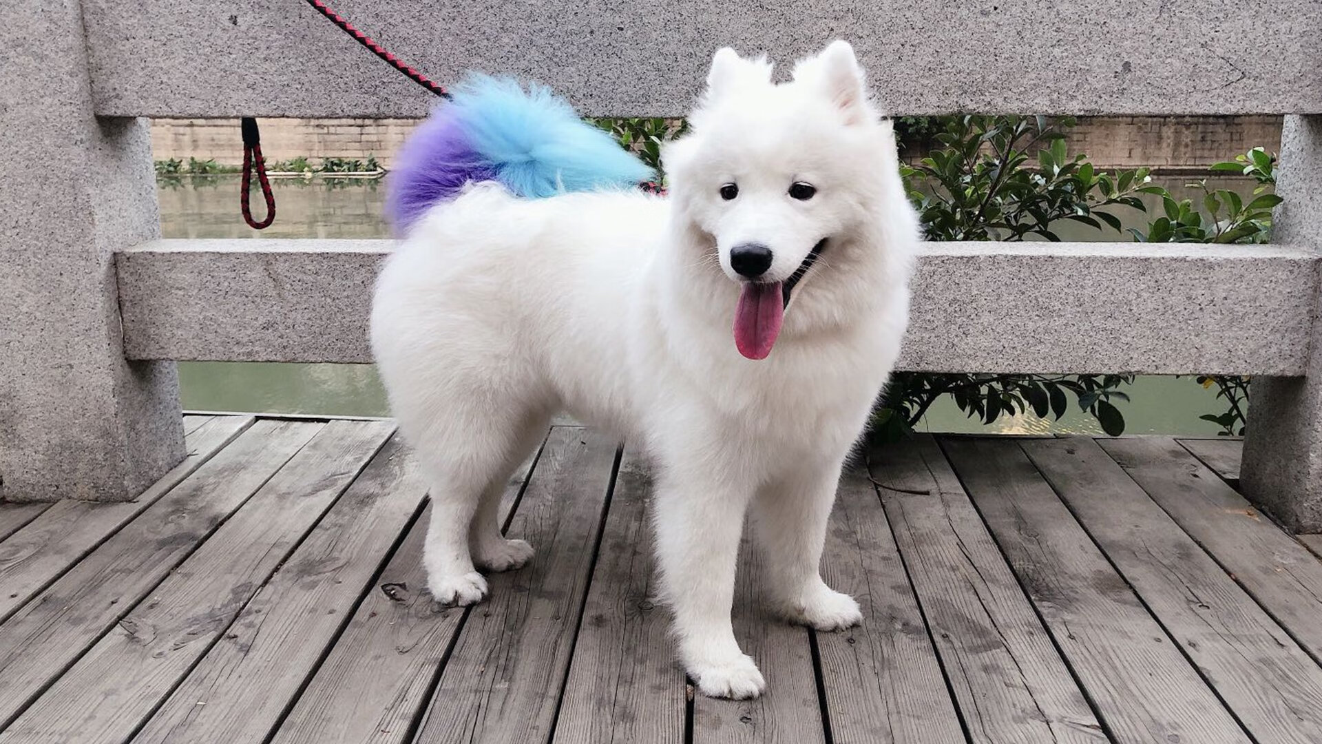 防守转换速度是否比进攻组织更重要，在比赛中进攻转防守的前提条件是什么_