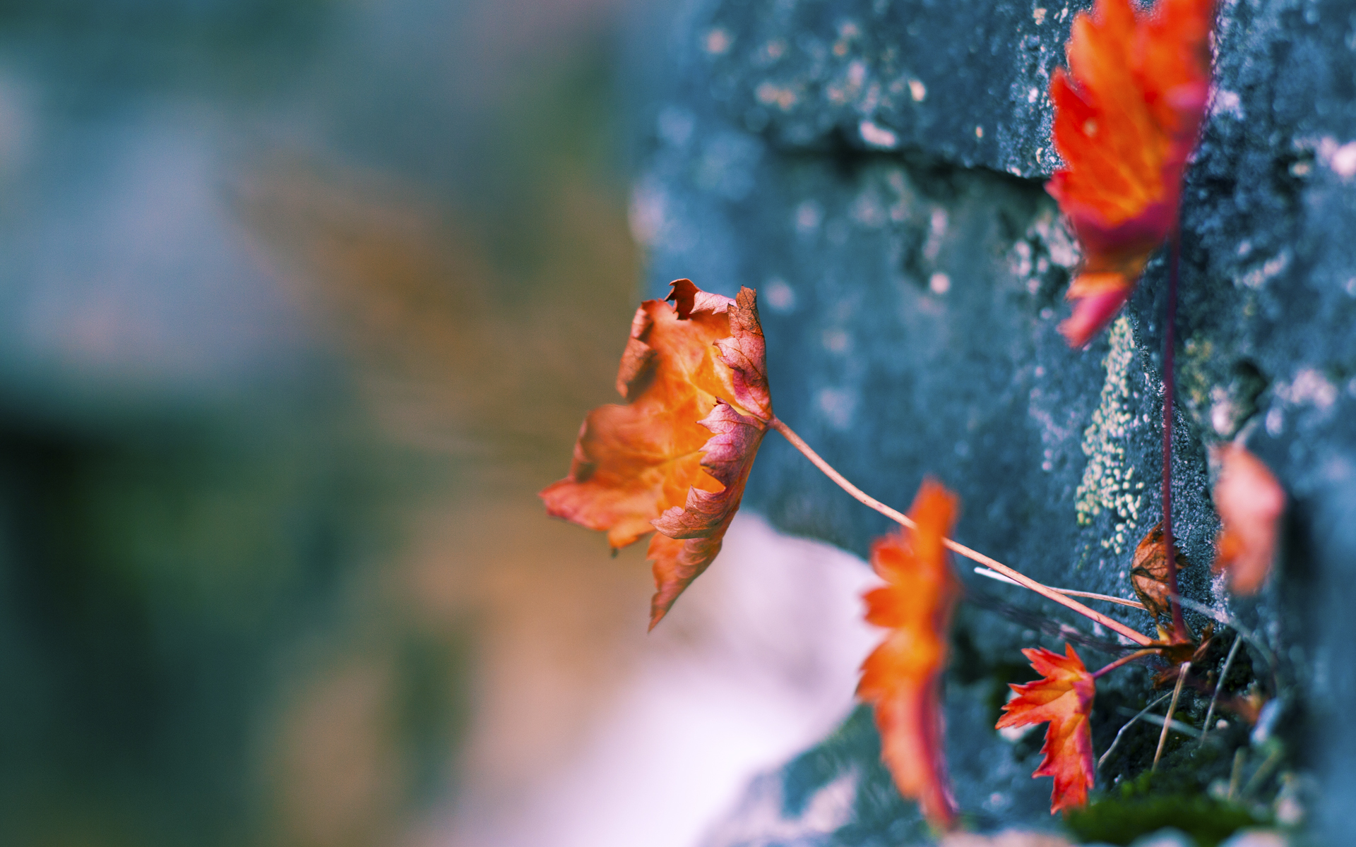 体育产业人才培养模式,体育产业人才标准定义