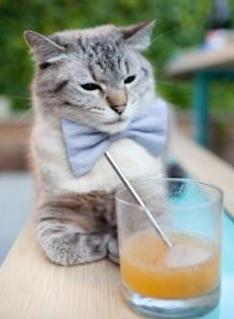 德甲青训中心开展多感官刺激训练提升比赛应对效率,多感官训练游戏方案