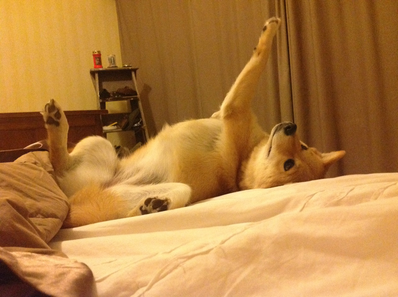 高校体育场馆运营管理创新,高校体育场馆运营管理创新方案