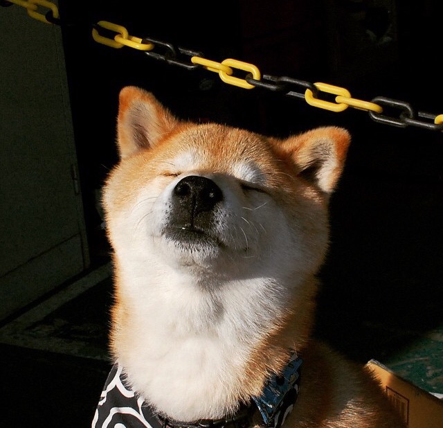 中国足球国家队开展技战术适应能力测试,足球实战技术训练