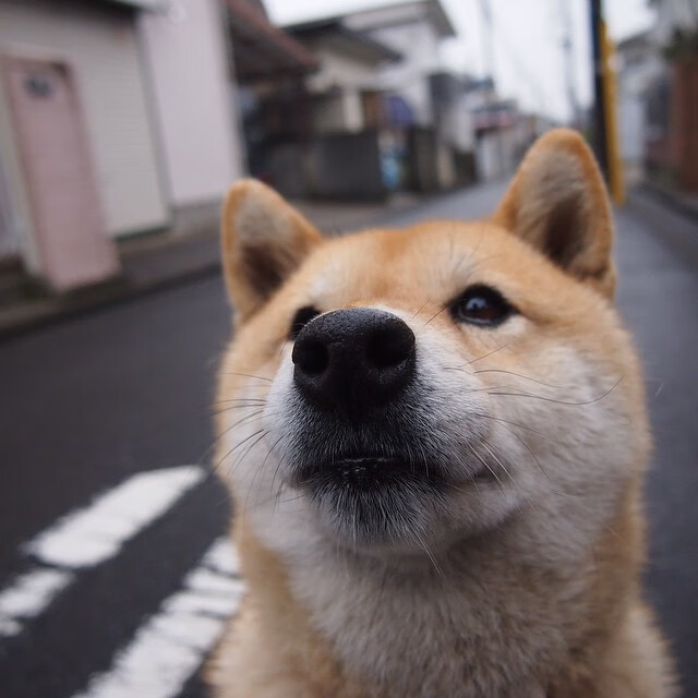 哈登强调团队配合优先于个人得分,哈登的战队