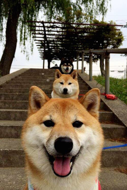 李娜告别赛场网球公开赛,李娜网球赛视频