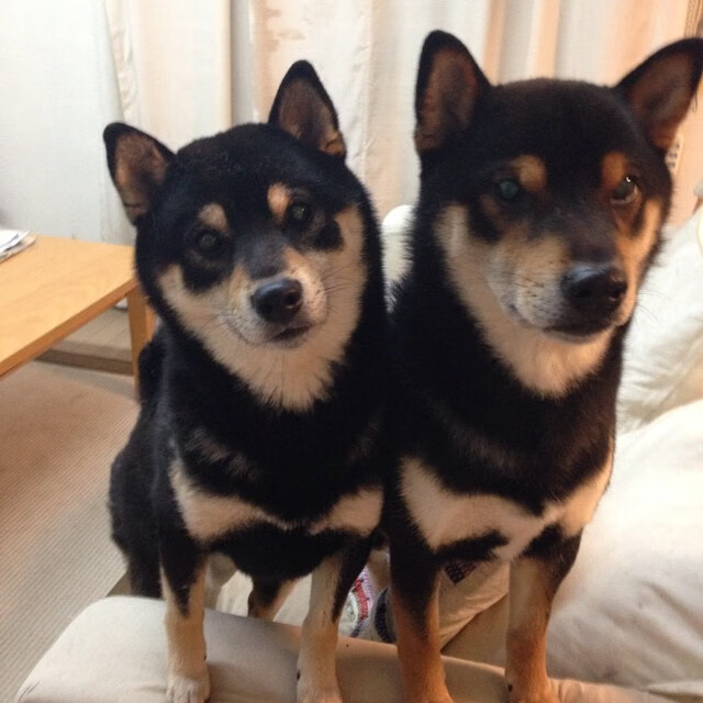 越南男篮在国际赛场积极备战，期待突破历史